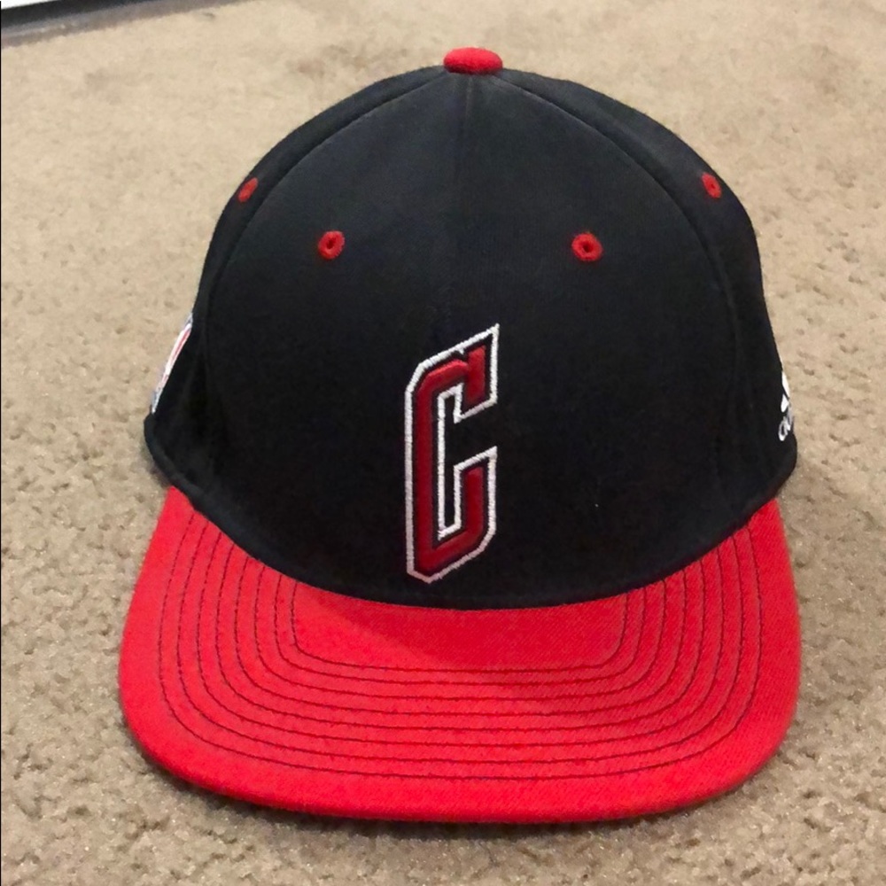 Chicago Bulls flex fit hat